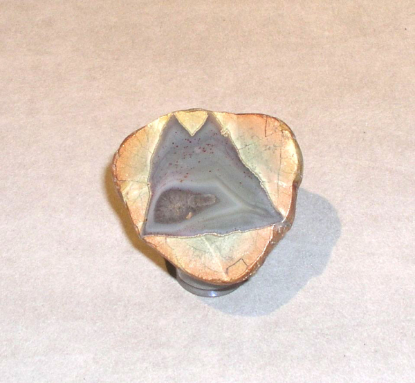 Unikat Anschliff Achat "Thunderegg" 