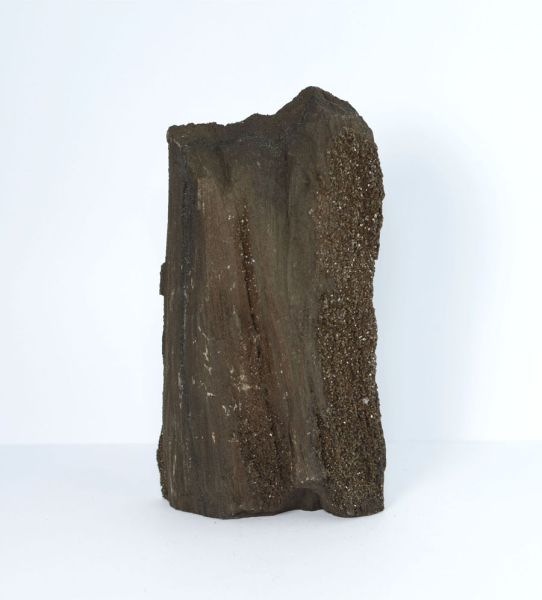 Unikat Versteinertes Holz Kristallin Mittel